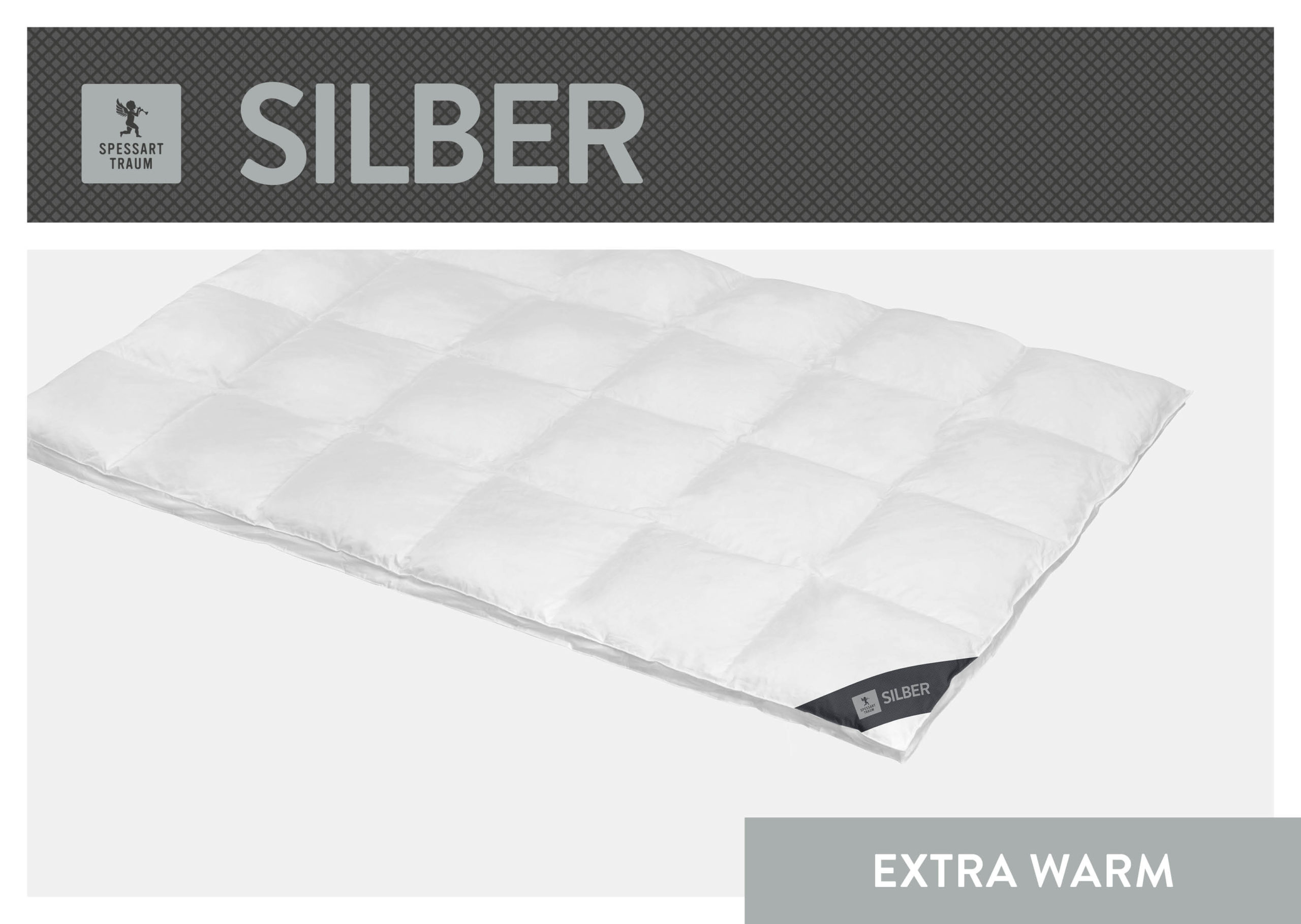 01_SPT_SILBER_EW_Freisteller_96dpi