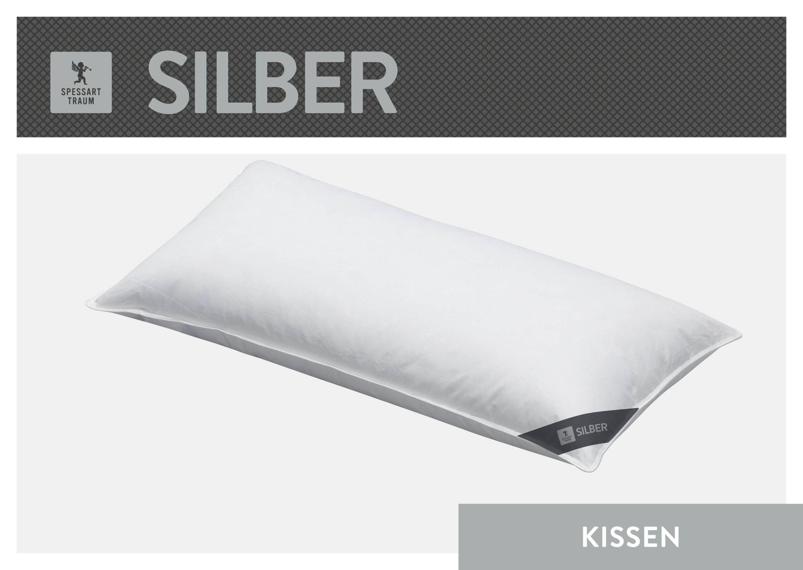 01_SPT_SILBER_KK_40x80_Freisteller_96dpi