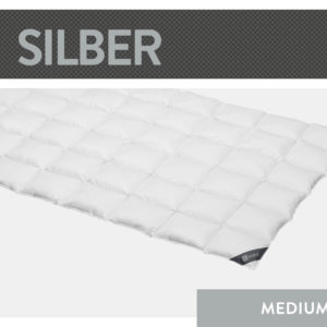 Casettendecke Silber, Wärmeklasse Medium