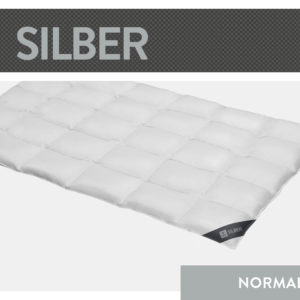 Casettendecke Silber, Wärmeklasse Normal