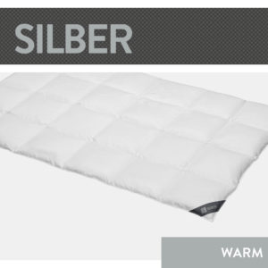 Casettendecke Silber, Wärmeklasse Warm