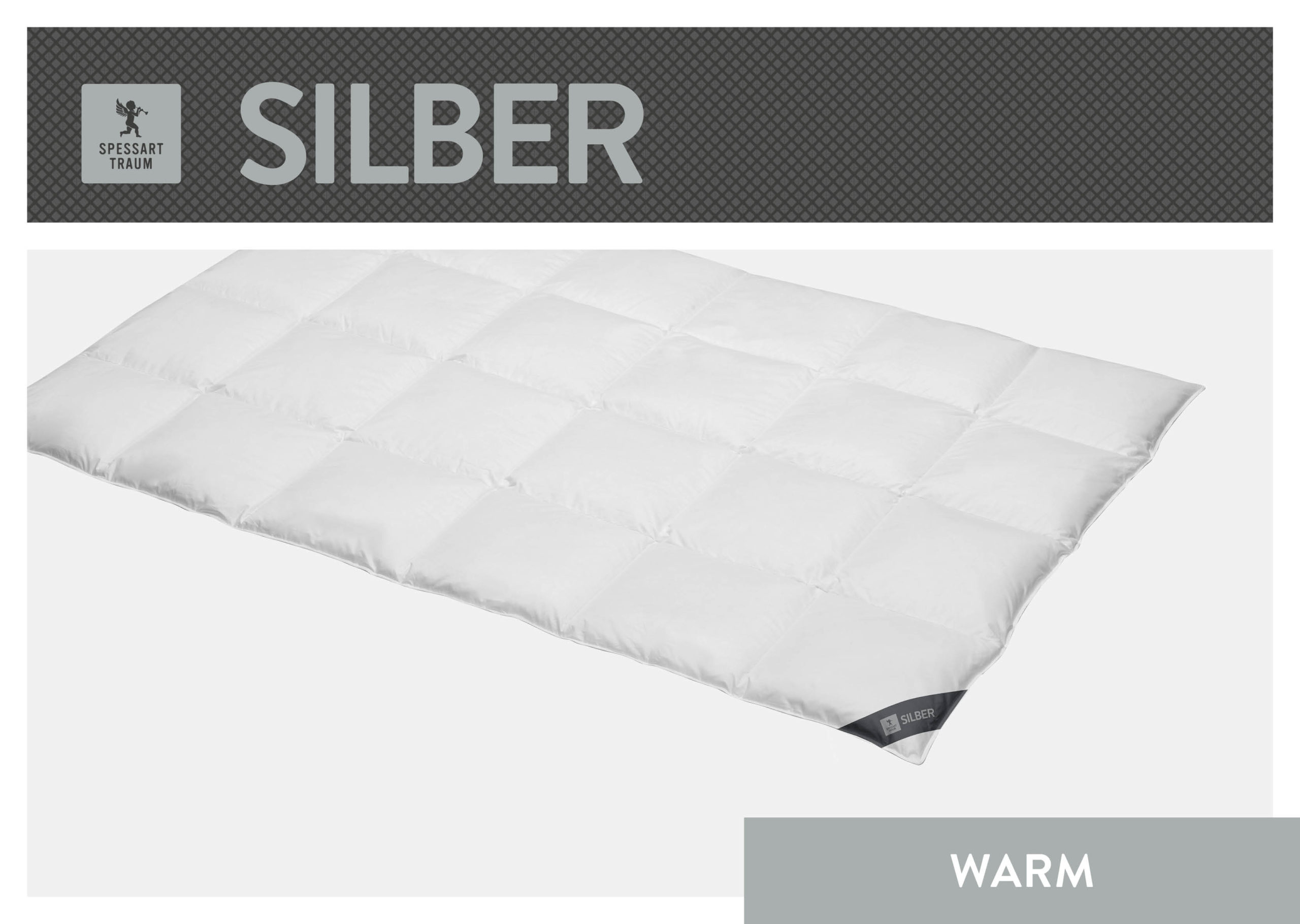 01_SPT_SILBER_W_Freisteller_96dpi