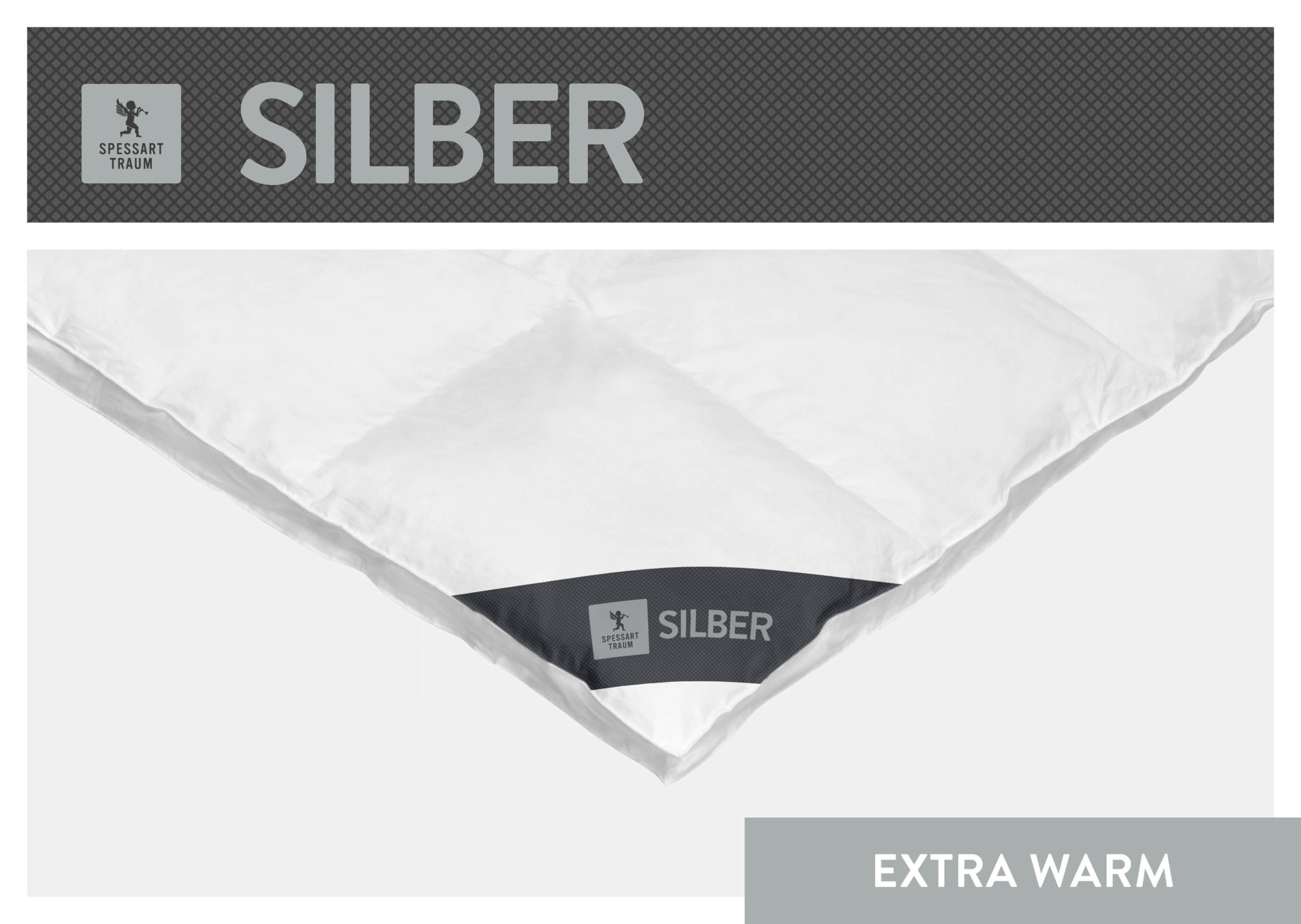 02_SPT_SILBER_EW_CloseUp_96dpi