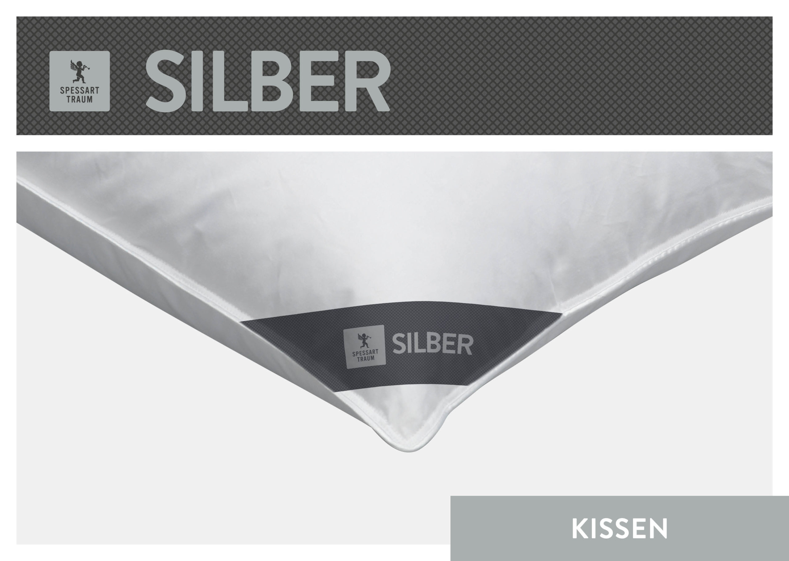 02_SPT_SILBER_KK_40x80_CloseUp_96dpi