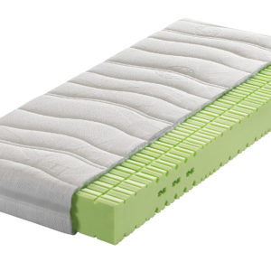 Kaltschaummatratze Carus 170