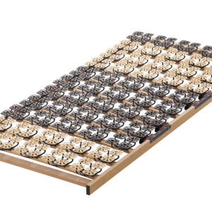 Lattenrost Carus 3000 starr