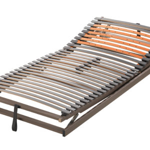 Lattenrost Carus 800 LKF